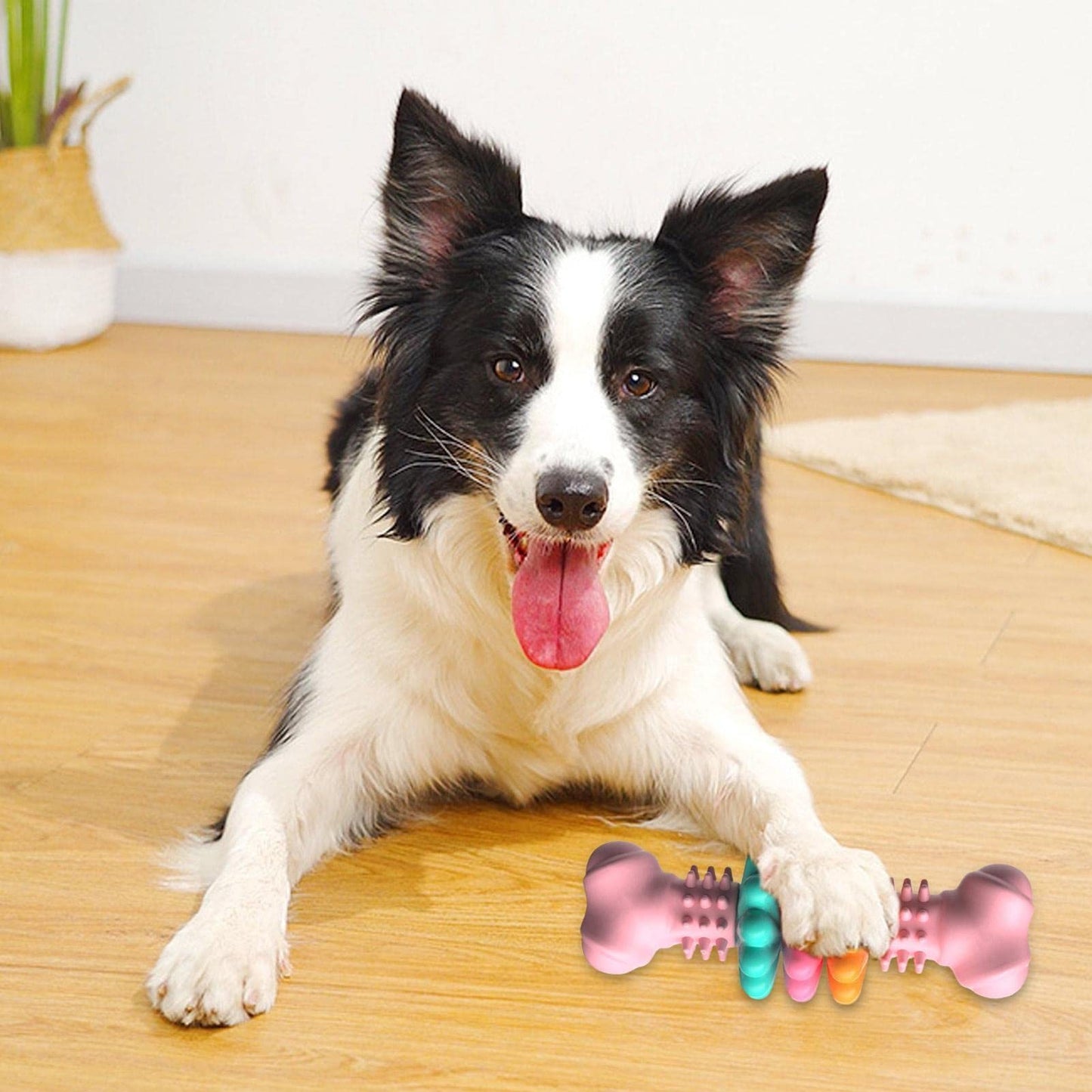 Dog Chew Toy Dog Teeth Cleaning