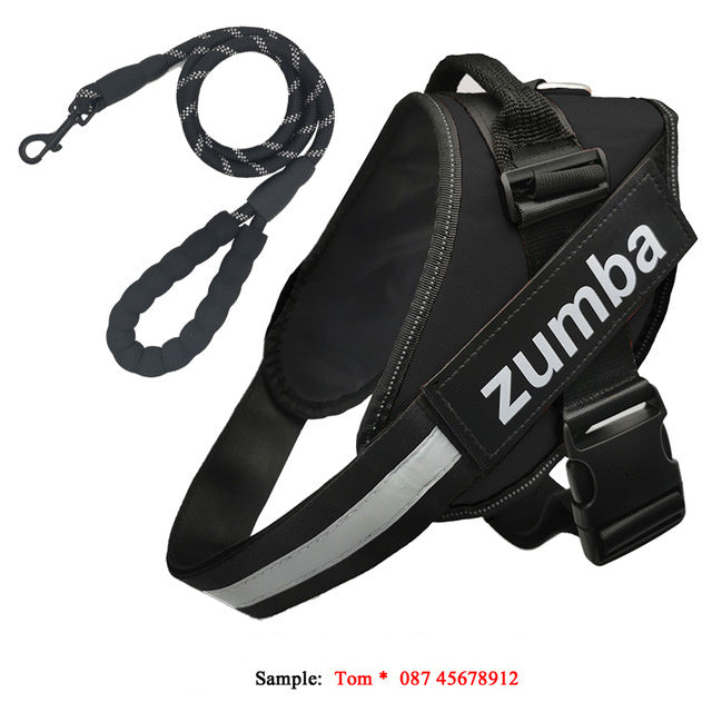 Personalized Dog Harness and Leash Set