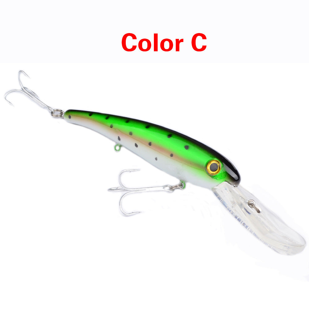 Fishing Baits & Lures