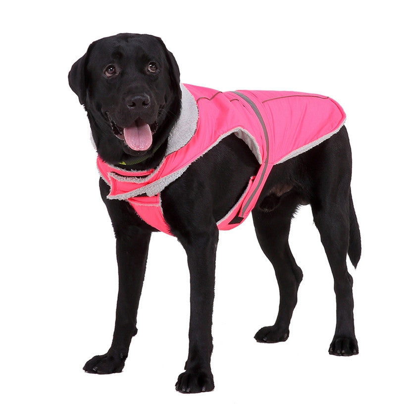 night reflective pet clothes