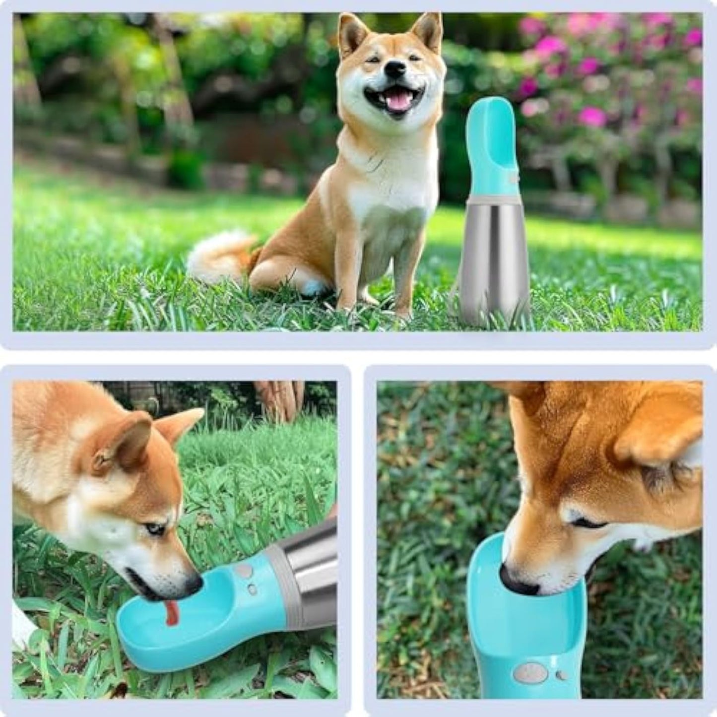 Portable Dog Water Bottle 700ml