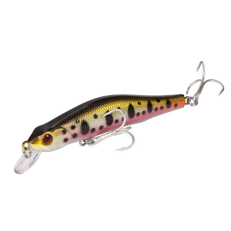 Fishing Baits & Lures 