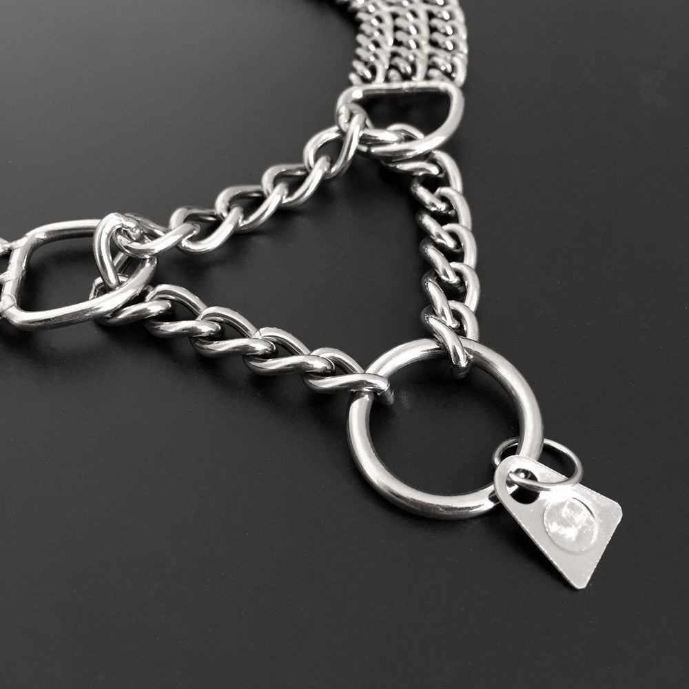 Dog Training Chain Collar