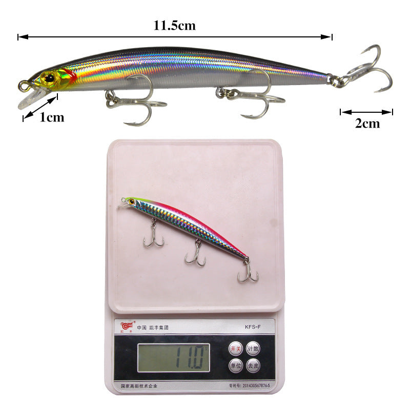 Fishing Baits & Lures 