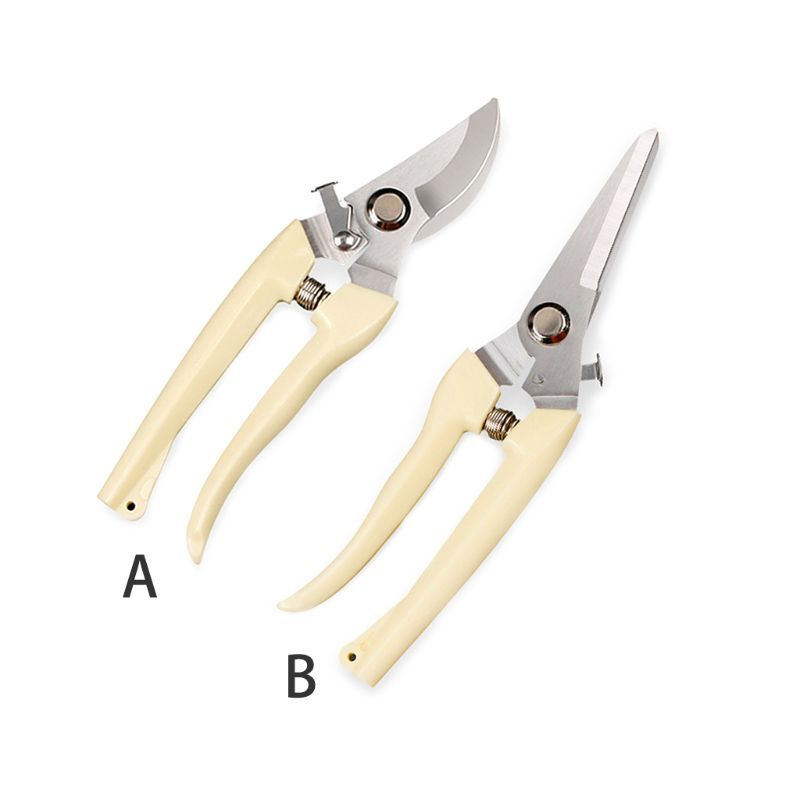 Pruning Shears