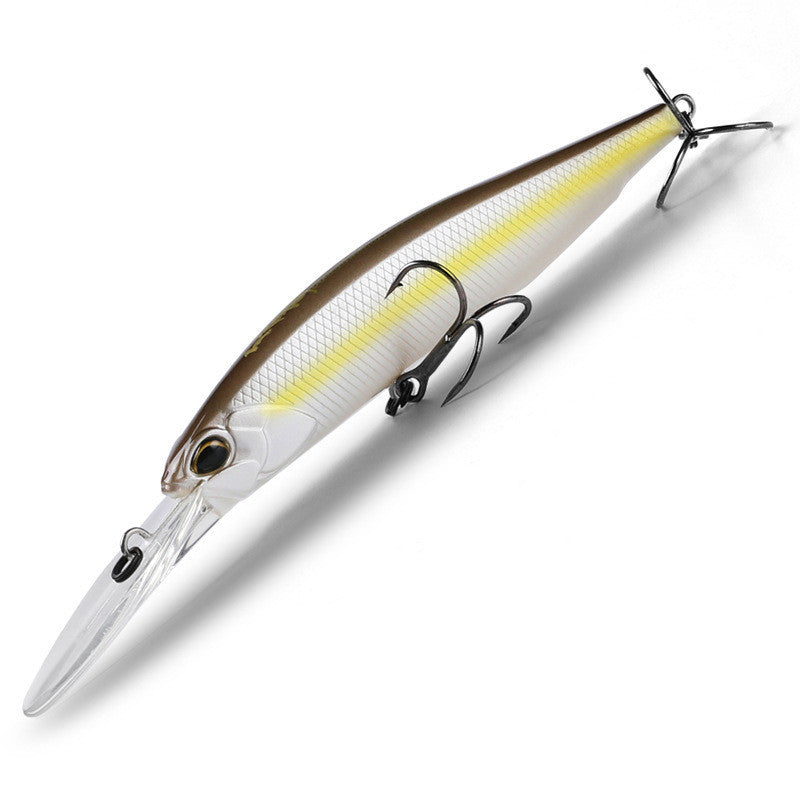 Fishing Baits & Lures