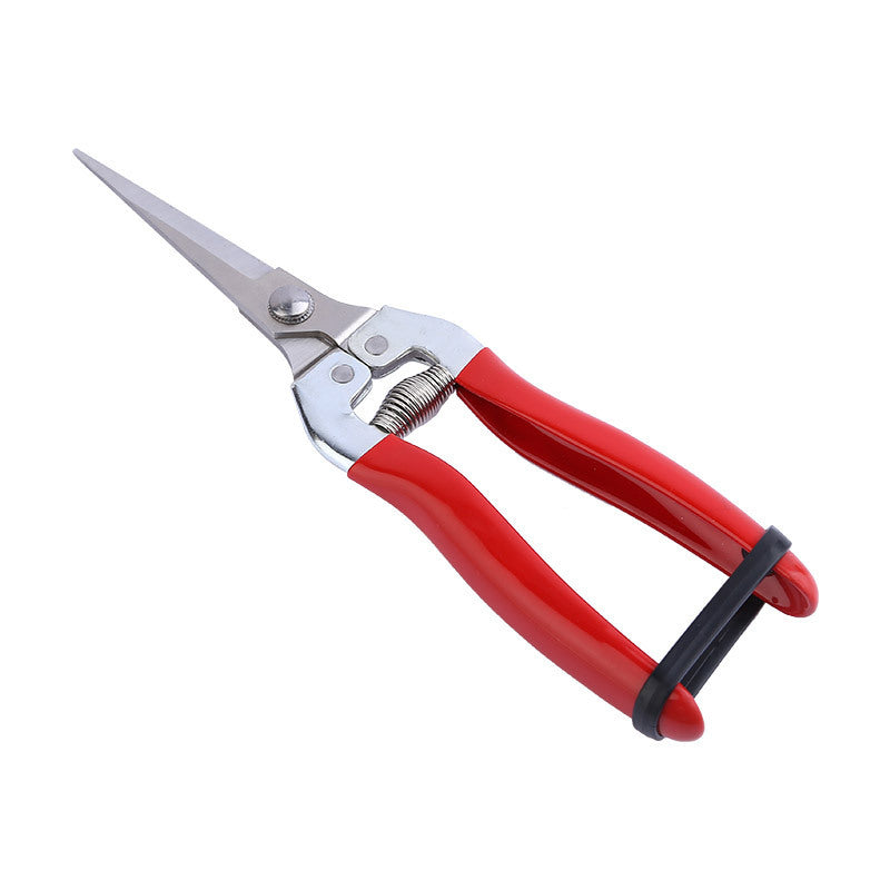 pruning shears