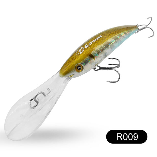 Fishing Baits & Lures 