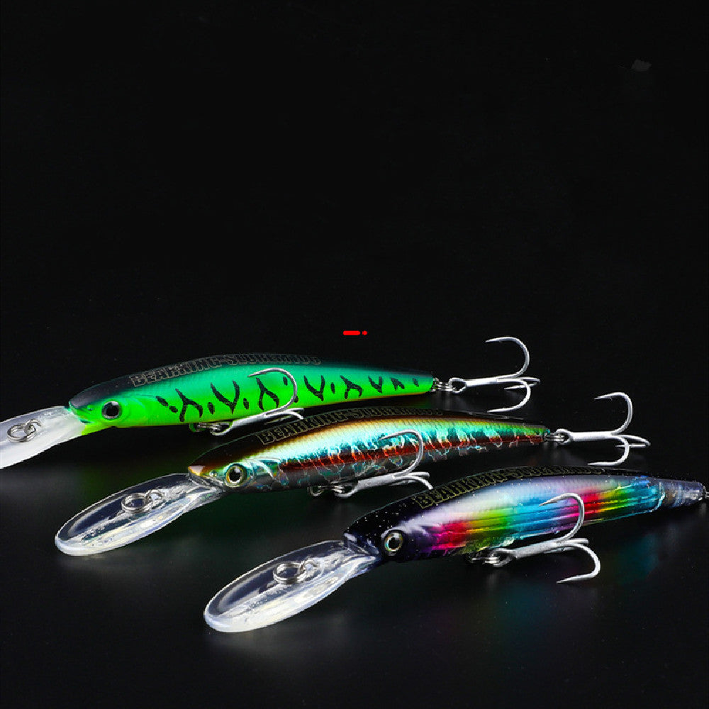 Fishing Baits & Lures