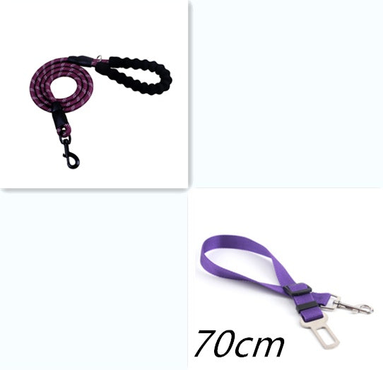 Pet Collars & Harnesses