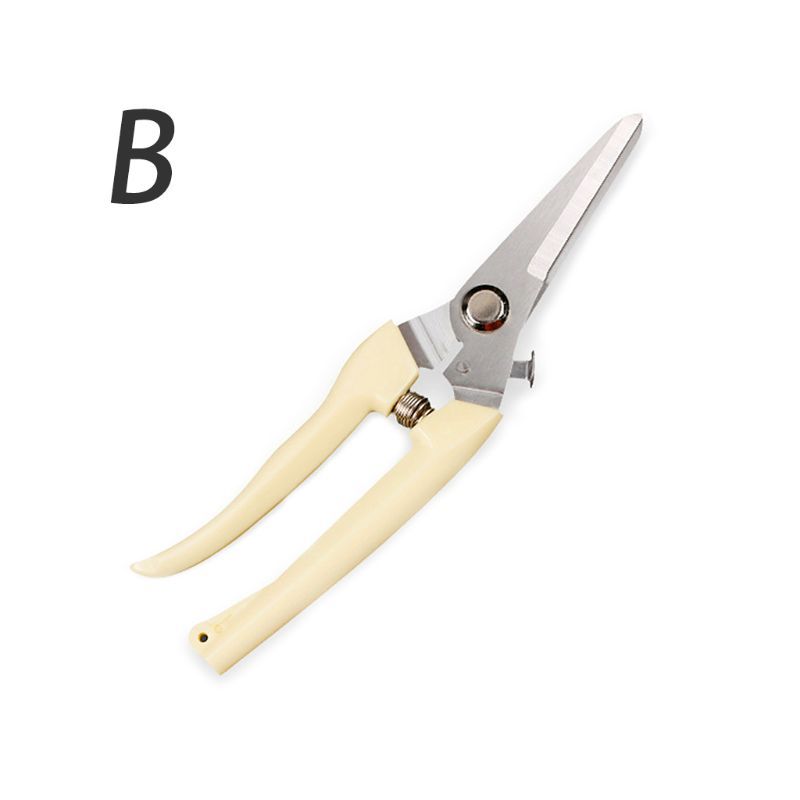 Pruning Shears