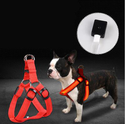 Pet Leashes