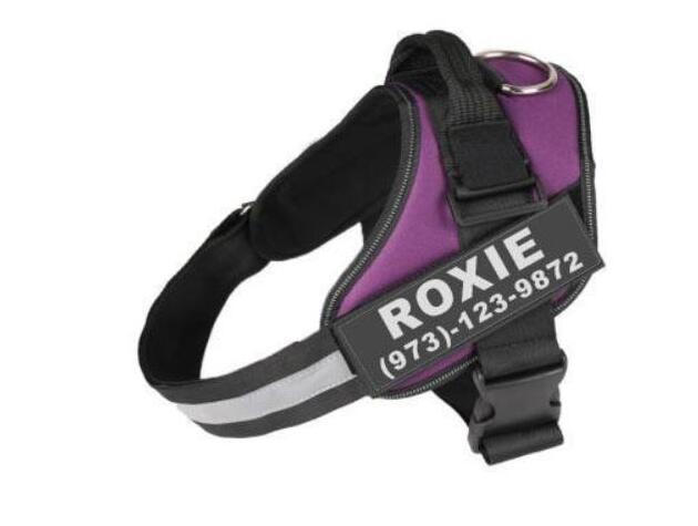 Pet Collars & Harnesses