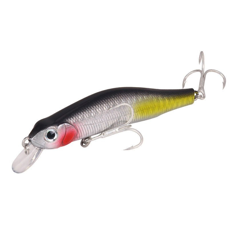 Fishing Baits & Lures 