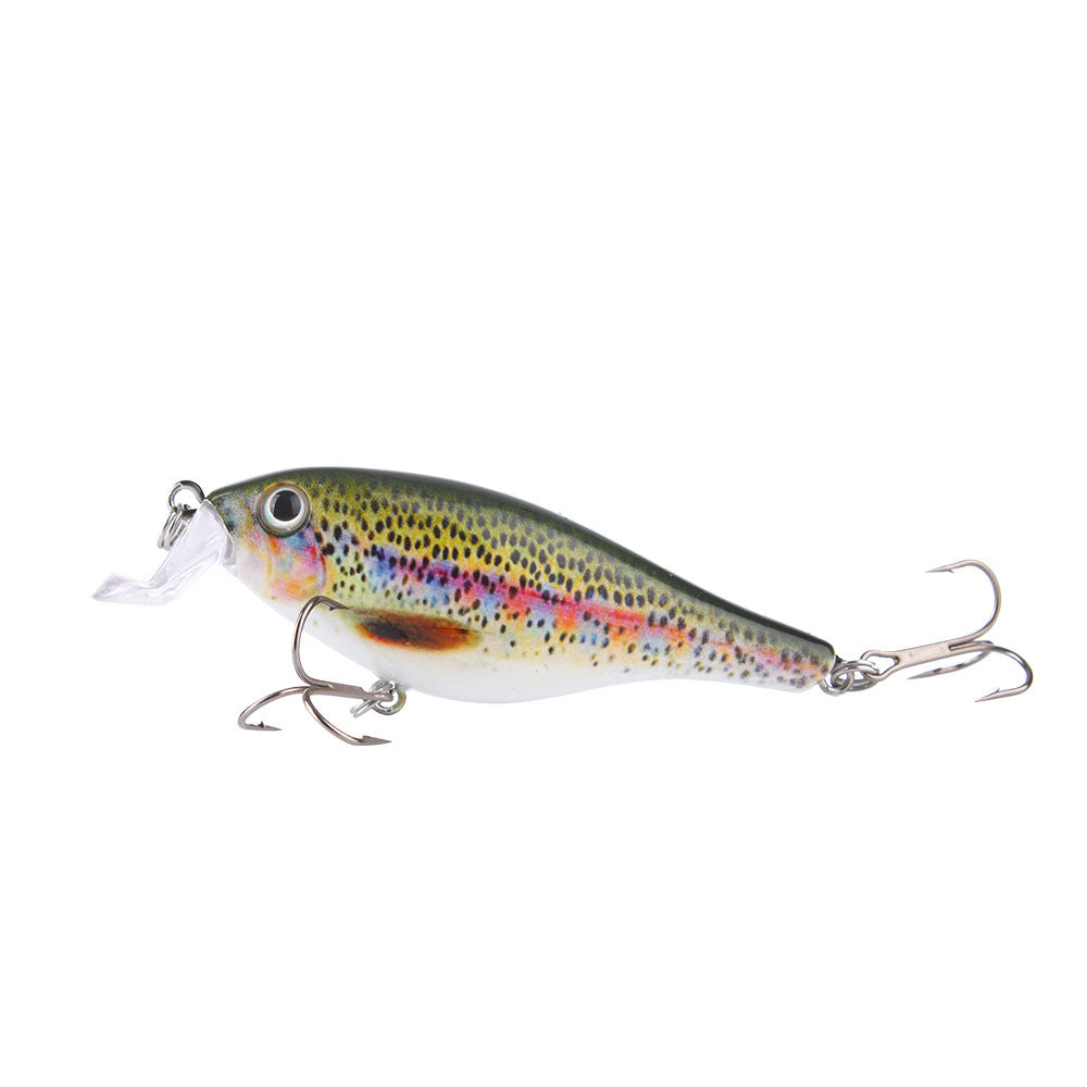 Fishing Baits & Lures