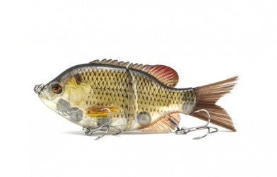 Fishing Baits & Lures