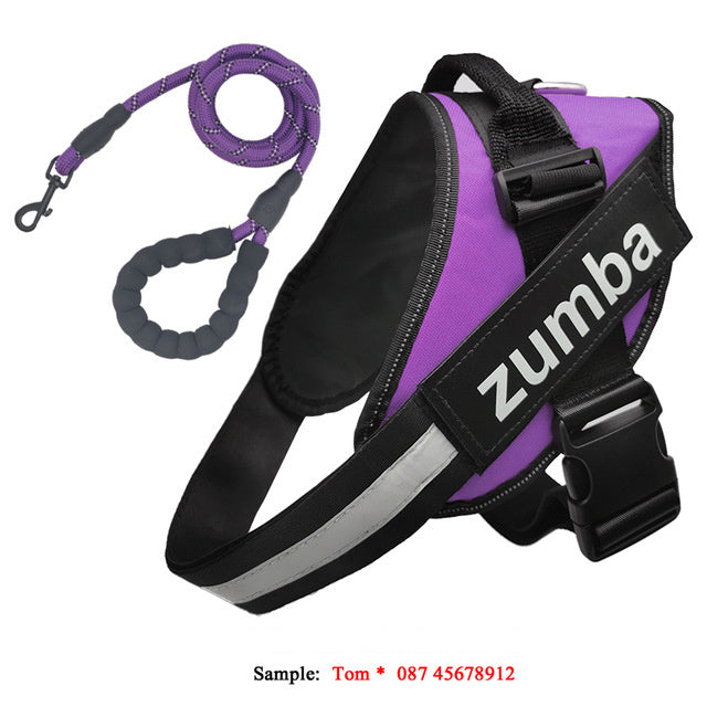 Personalized Dog Harness and Leash Set