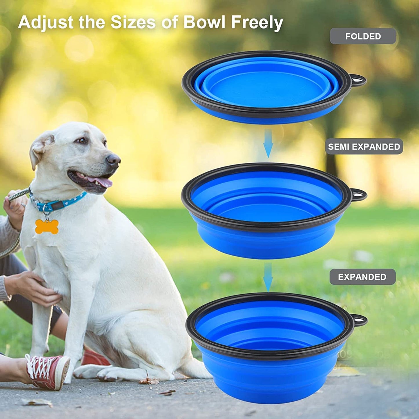 Dog Bowls