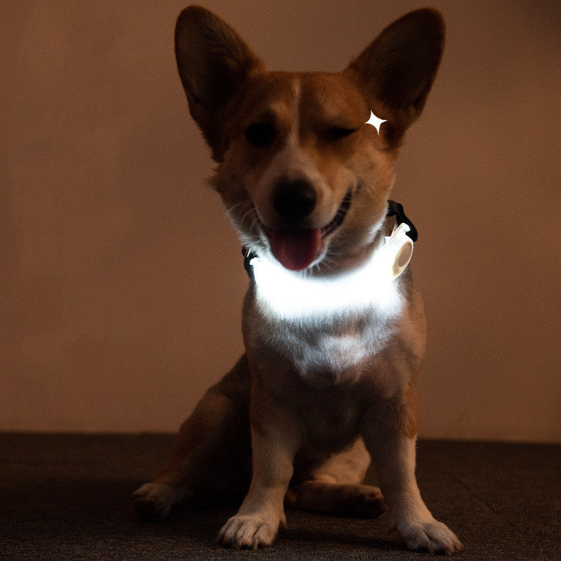 LED Lead Rope Light Collar