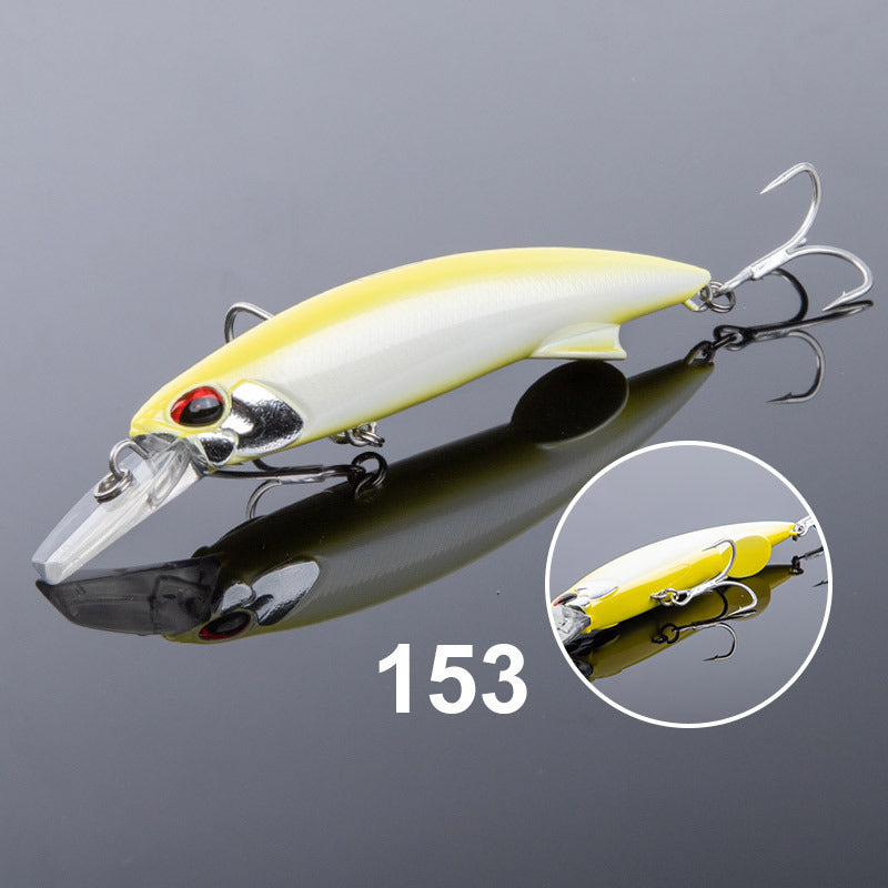 Fishing Baits & Lures