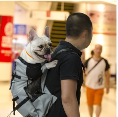 Breathable Pet Backpack