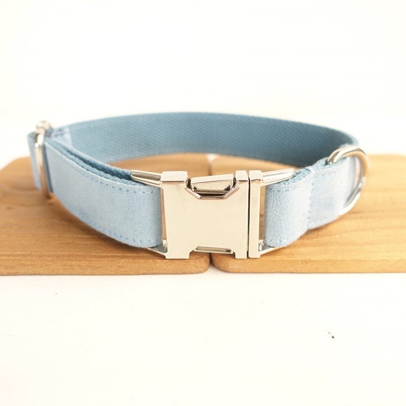 Blue dog collar