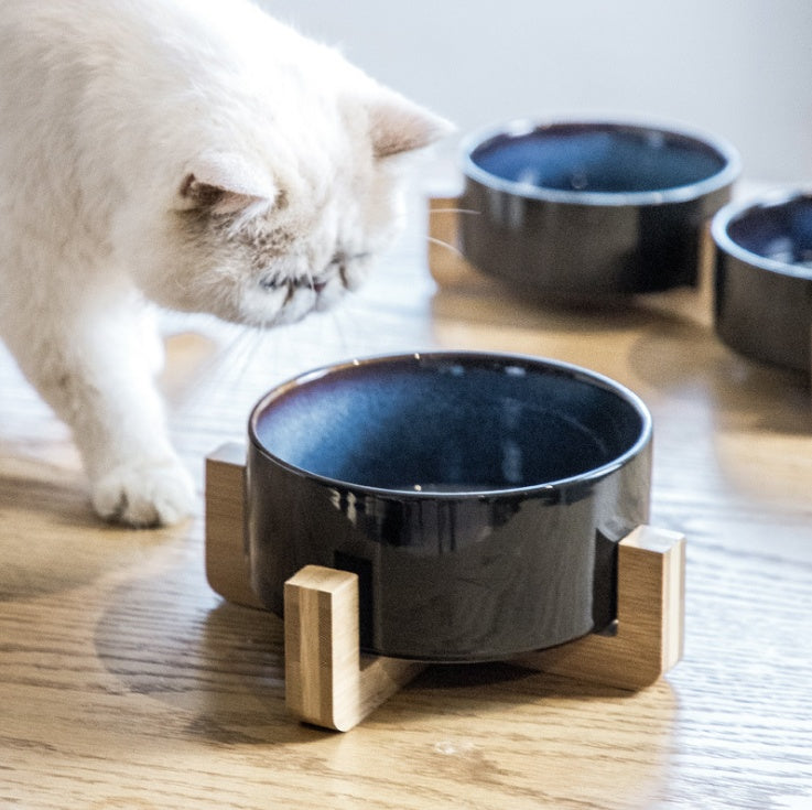 Ceramic cat food bowl