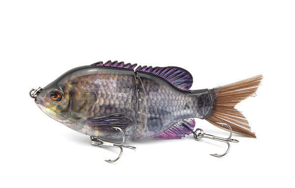 Fishing Baits & Lures