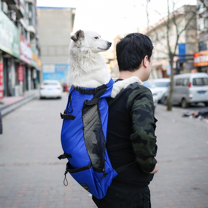 Dog Carrier Bag