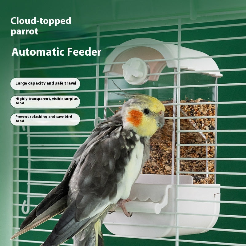 Parrot Automatic Pet Feeder