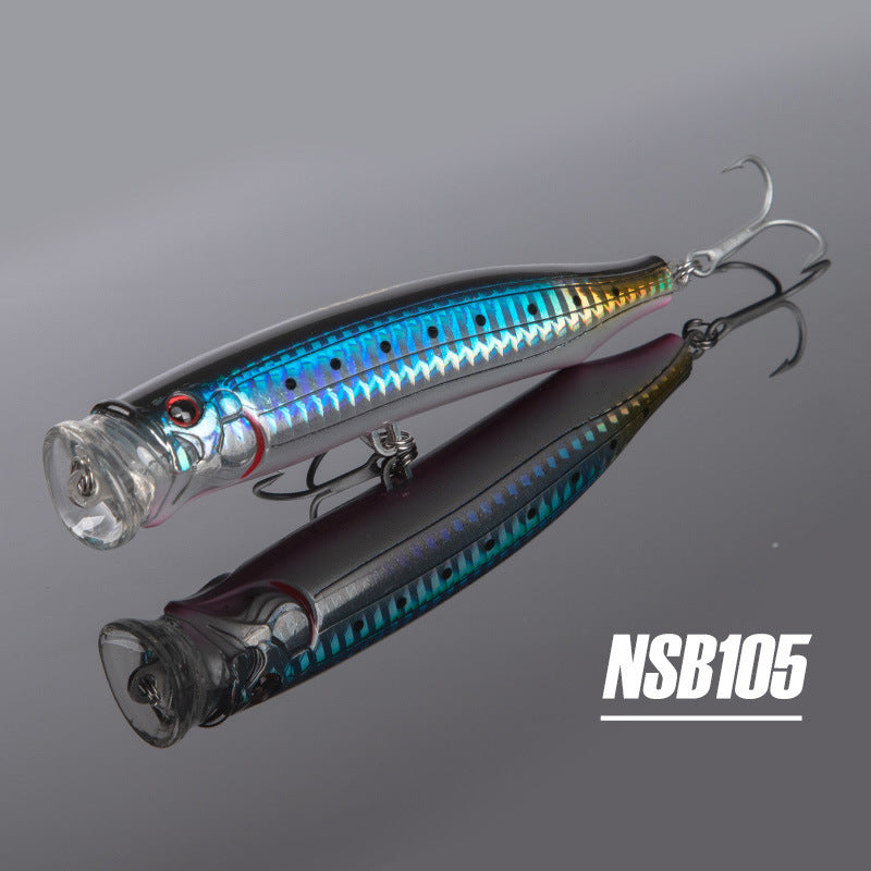 Fishing Baits & Lures