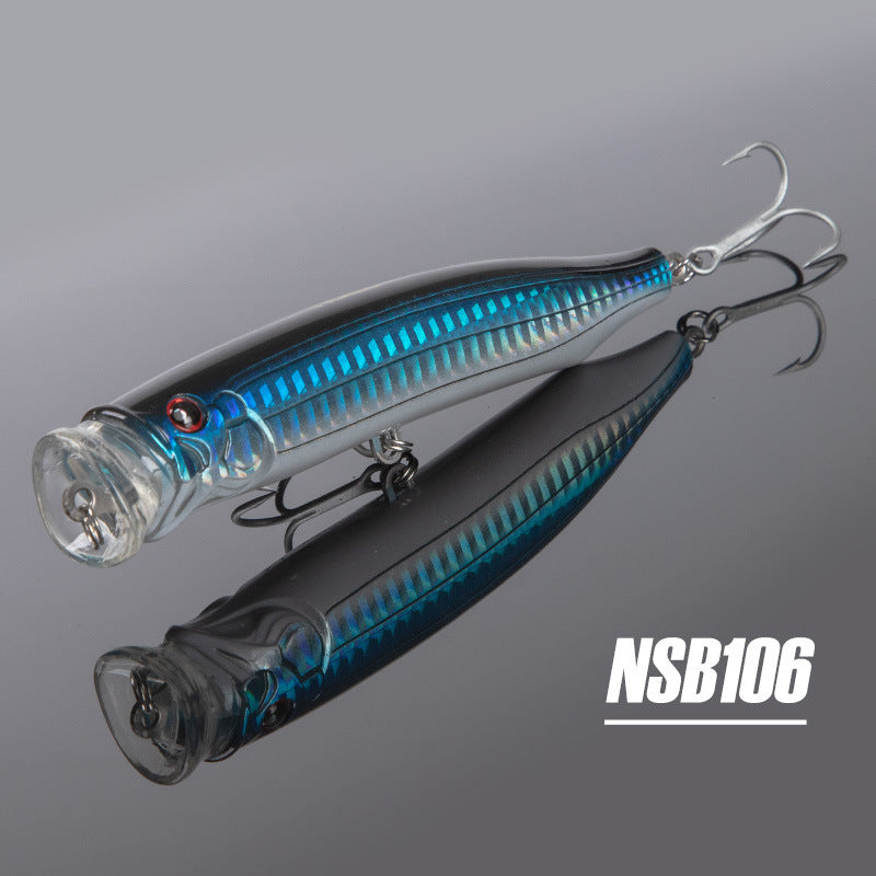 Fishing Baits & Lures