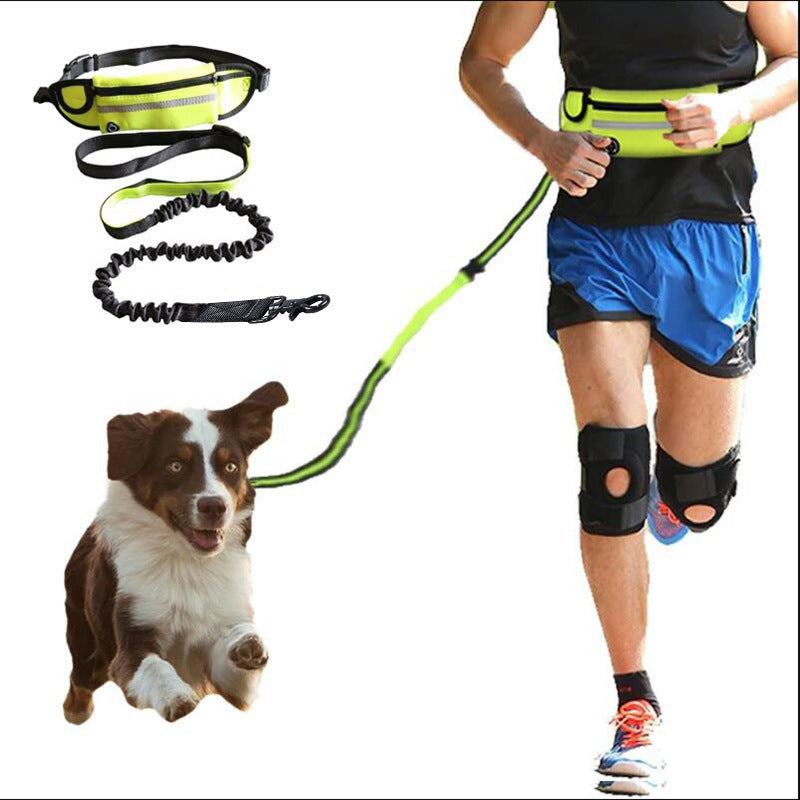 Hands Free Pet Leash