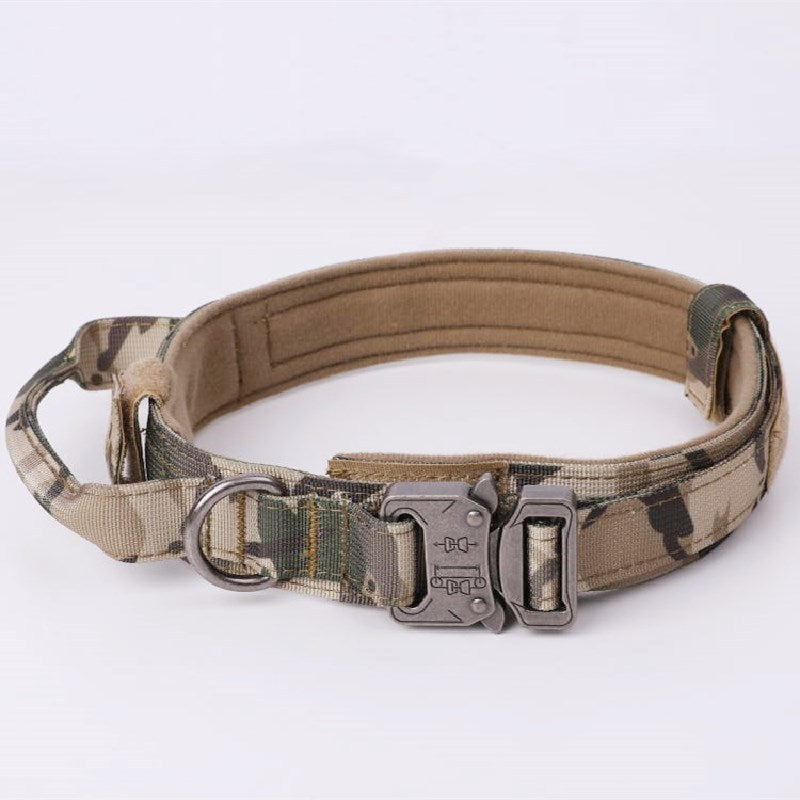 Pet Collars & Harnesses