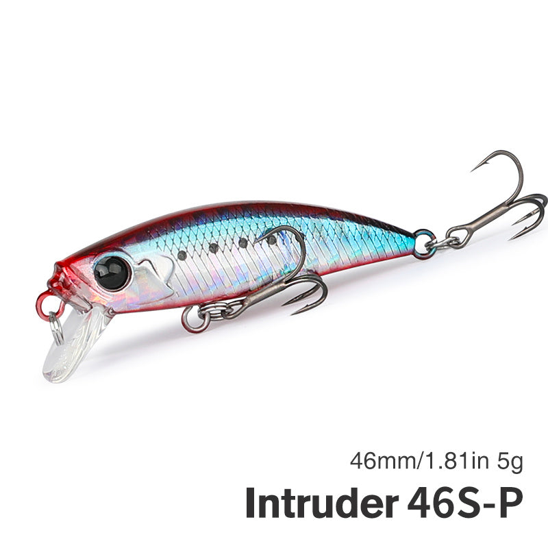 Fishing Baits & Lures