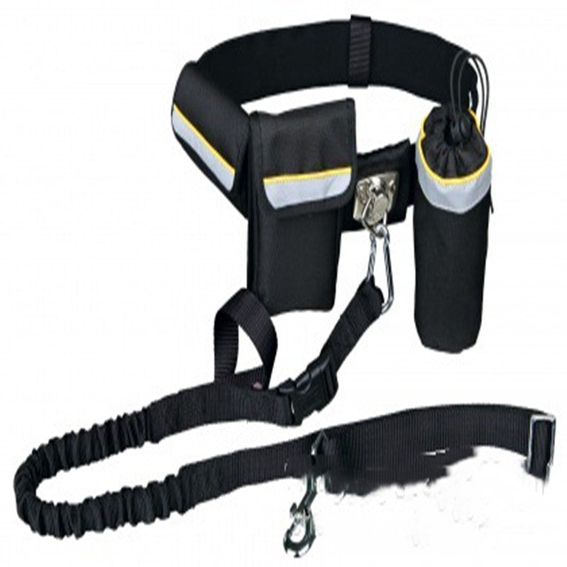 Pet Collars & Harnesses