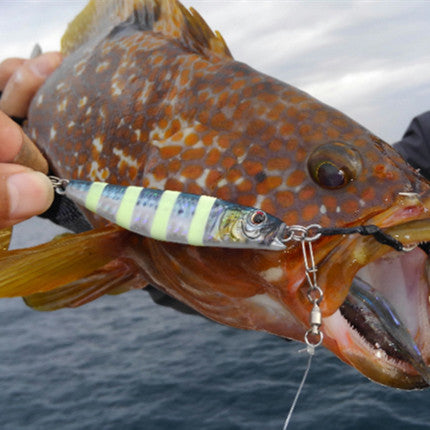 Fishing Baits & Lures