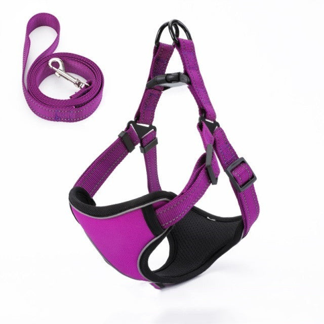 Pet Collars & Harnesses