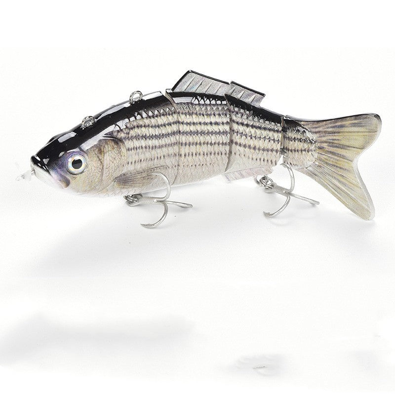 Fishing Baits & Lures 