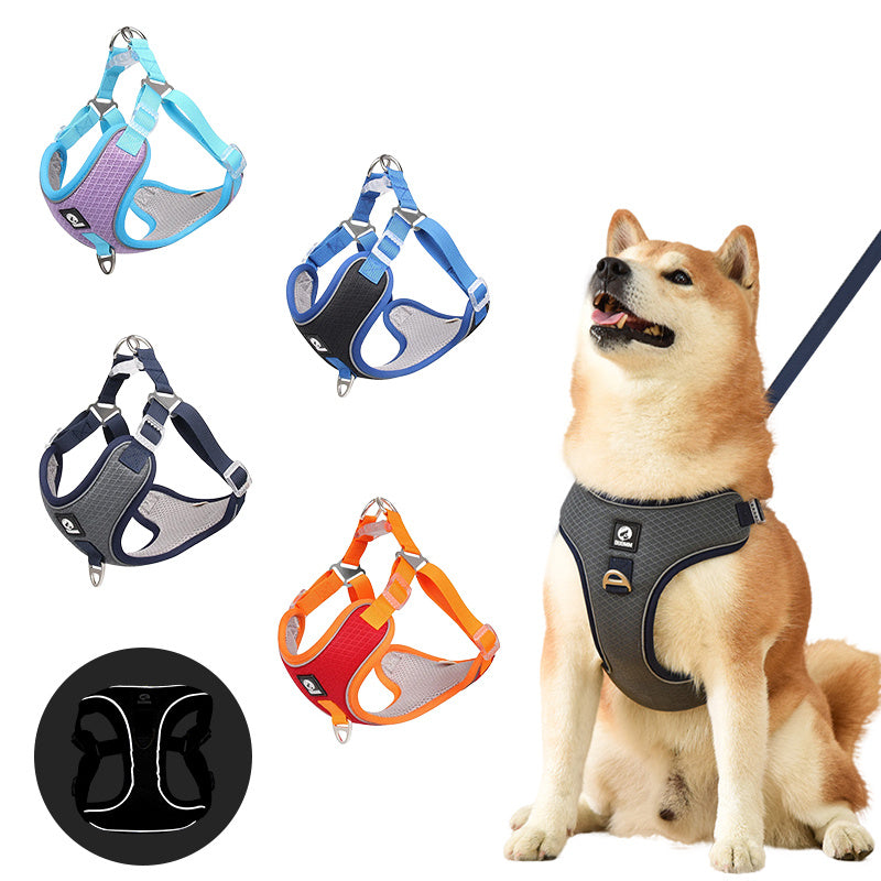 Pet Collars & Harnesses