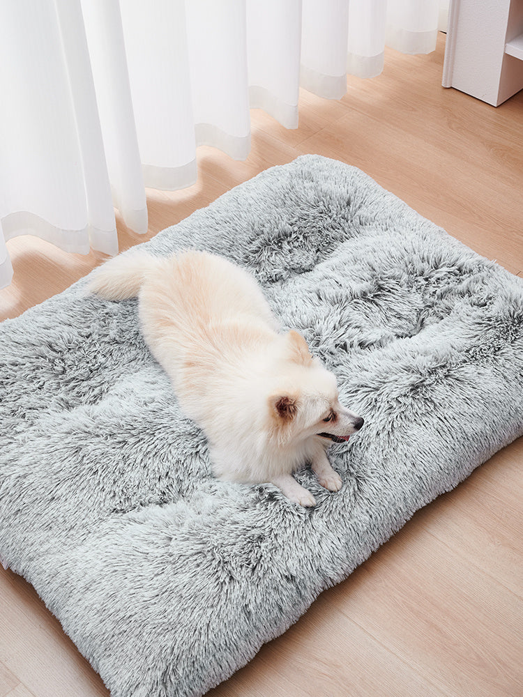 Dog Mats