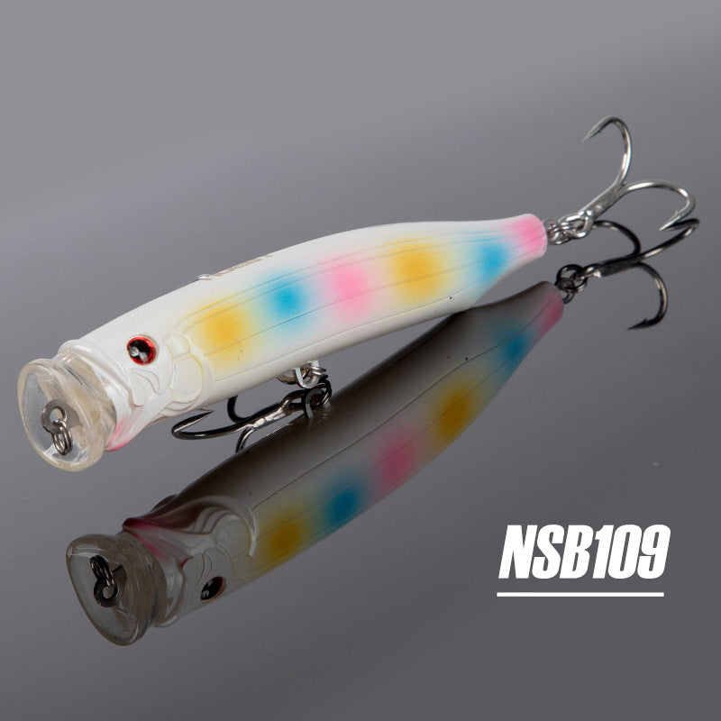 Fishing Baits & Lures