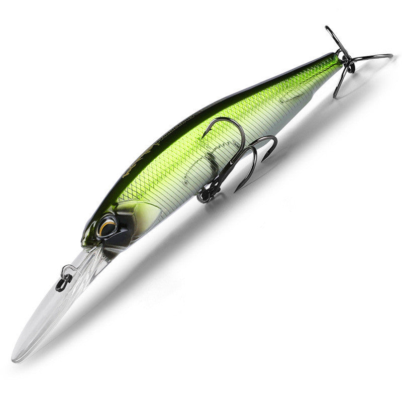 Fishing Baits & Lures