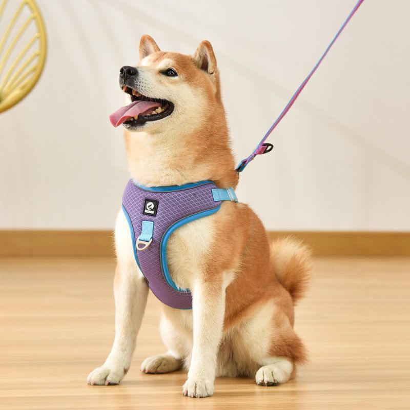 Pet Dog Harness