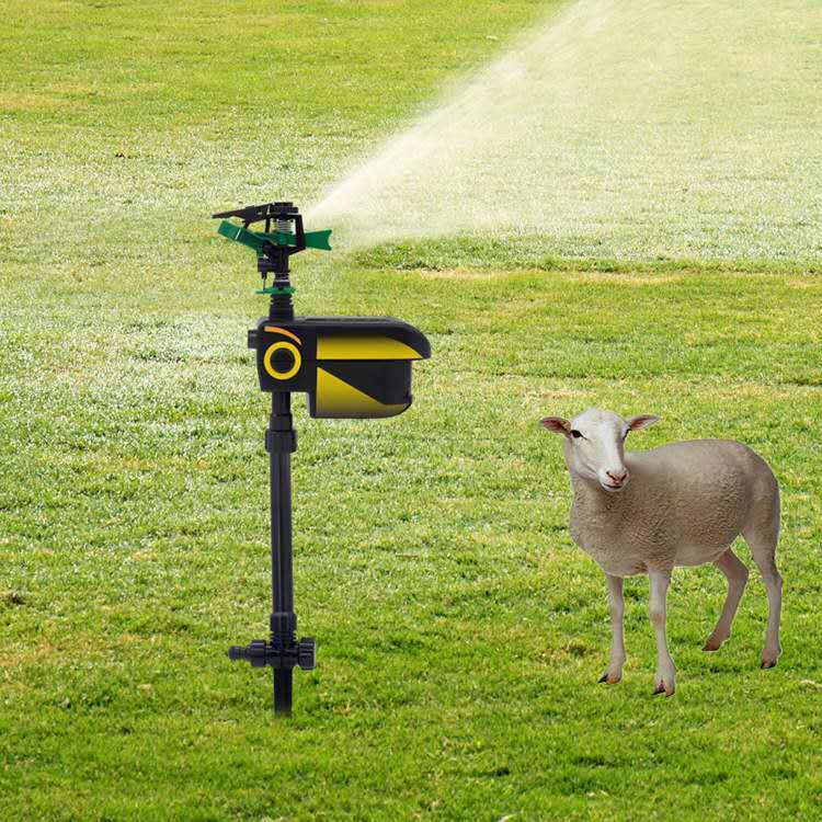 Sprinklers & Sprinkler Heads