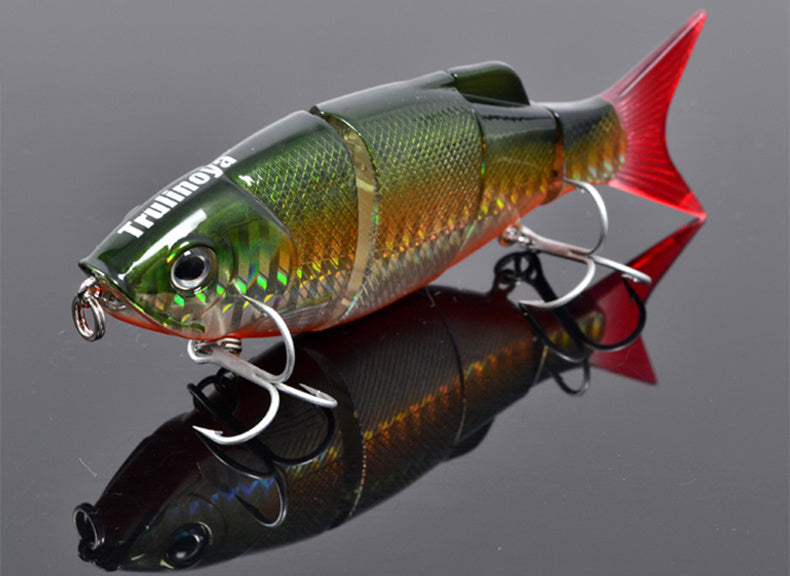 Fishing Baits & Lures