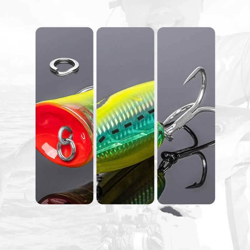 Fishing Baits & Lures 