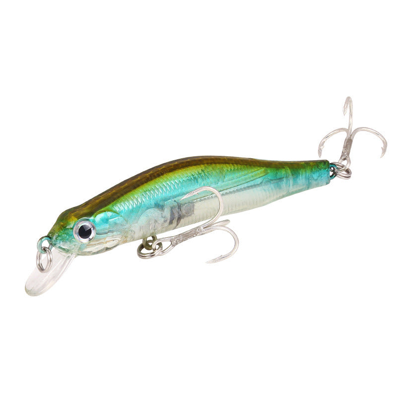 Fishing Baits & Lures 