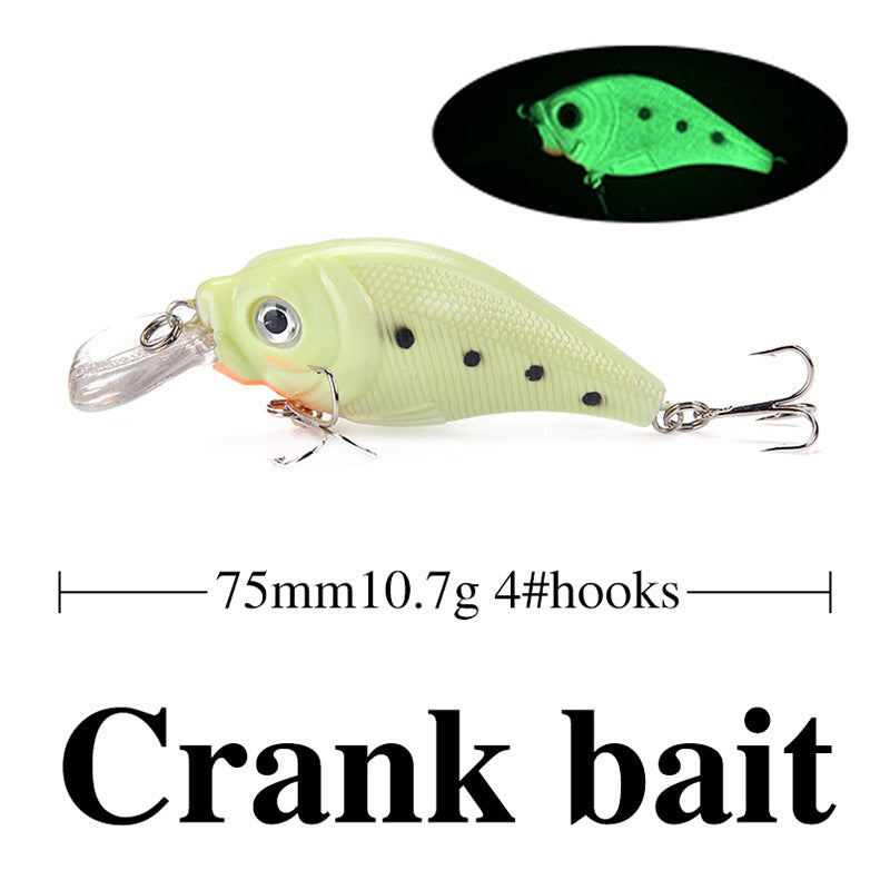 Fishing Baits & Lures