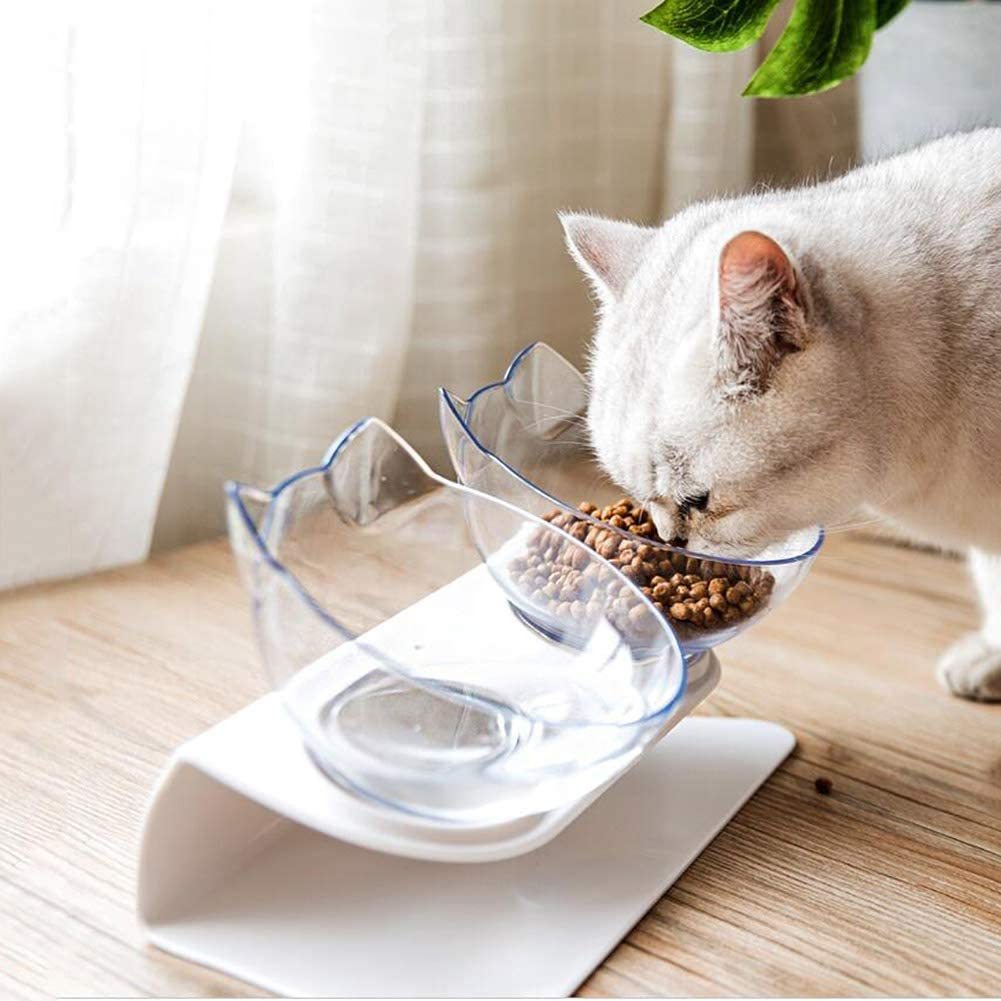 Double Cat Bowl With Raised Stand